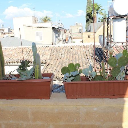 فندق بيديوس غيست هاوس نيقوسيا المظهر الخارجي الصورة